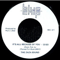 It's All Because of You b/w Benjamin James - Just a Guitar Man