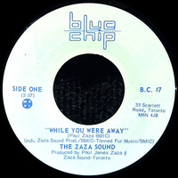 While You Were Away b/w Windmill Song