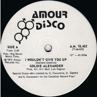 I Wouldn't Give You Up