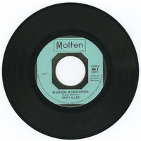 Wednesday In Your Garden b/w If You Look Away