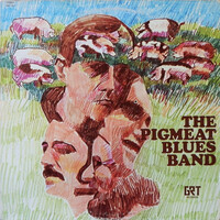 Pigmeat Blues Band: Whatever Happened to Ian Buchanan?