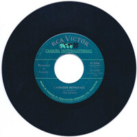 Labrador Retriever b/w Not Enough to Go Around