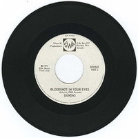 Bloodshot In Your Eyes b/w Can't You Hear Me