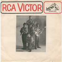 The Dreamer b/w You Just Can't Hide (picture sleeve)