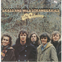 Grass and Wild Strawberries