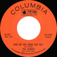 Who Do You Think You Are? b/w Bad Sign