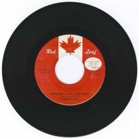 Hang On to Me Now Baby b/w I Would Bring Sunshine (promo)