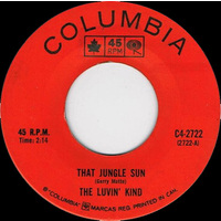 That Jungle Sun b/w It's Not Always That Way