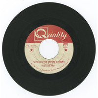 Flying on the Ground is Wrong b/w If You Don't Want Me