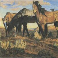 Songs from the Gravel Road