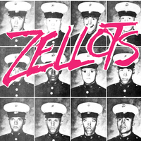  Zellots