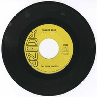 Thinking Away b/w Anatomy of a Shadow