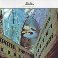 Rollercoaster b/w In the Drones