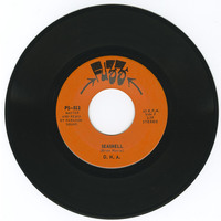 Because I Love You b/w Seashell