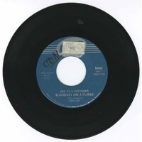 Ode to a Cucumber, Blueberry and a Flower b/w If You Can Dig It