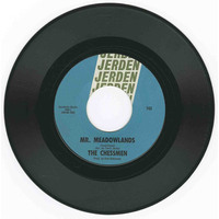 Mr. Meadowlands b/w Mustang