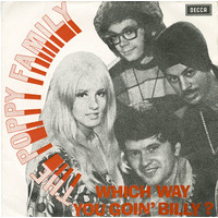 Which Way You Goin' Billy? b/w Endless Sleep (picture sleeve)