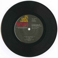 Dreams And Wishes (With Dave Woods Orchestra)