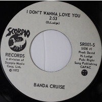 I Don't Wanna Love You b/w track 2