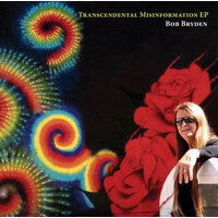 Transcendental Misinformation