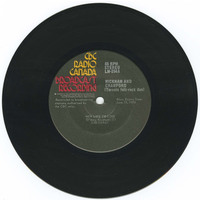 Toronto folk-rock duo