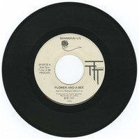 Flower And a Bee b/w Nirvana - Oh What a Night