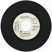 Our Summer Song b/w Pickin' Up Where We Left Off (promo)