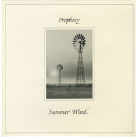 Summer Wind
