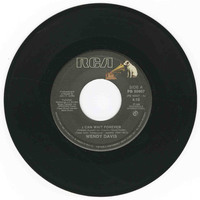 I Can Wait Forever b/w I Wanna Hold You Tonight