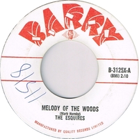 Melody of the Woods b/w Electrocution