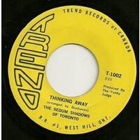 My Rock Mind b/w Thinking Away