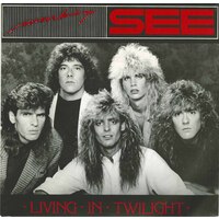 Living in Twilight (picture sleeve)