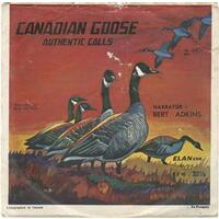 Canadian Goose Authentic Calls b/w Calls Without Narration (picture sleeve)