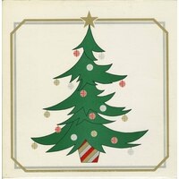 Broadcast Recording Christmas Album