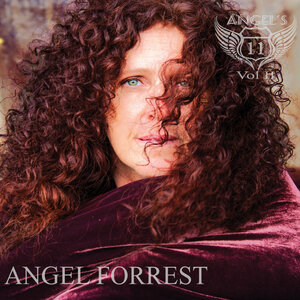Angel's 11 vol II