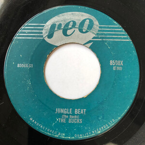 Jungle Beat b/w Rainbow