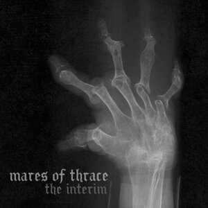 The Interim
