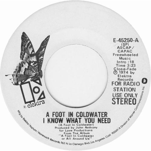 I Know What You Need (stereo) b/w I Know What You Need (mono) (promo)