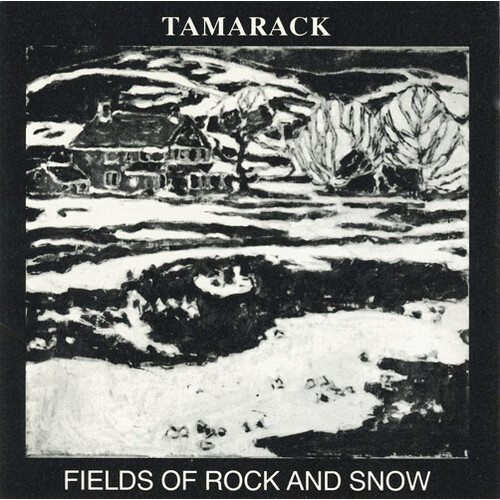 Fields of Rock and Snow