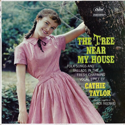 The Tree Near My House