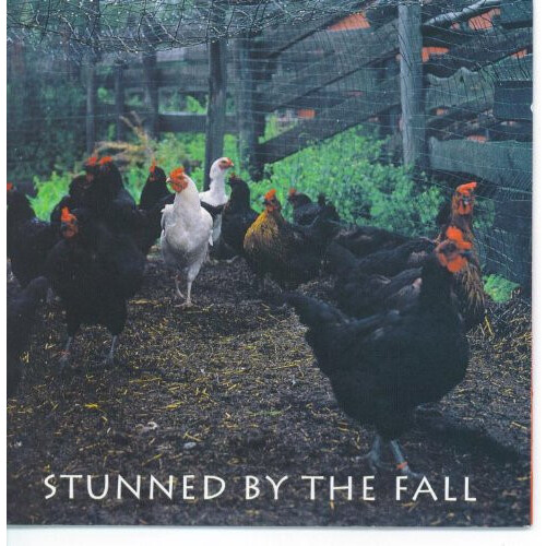 Stunned by the Fall