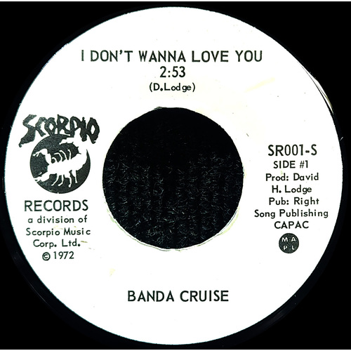 I Don't Wanna Love You b/w Take That