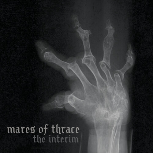 The Interim