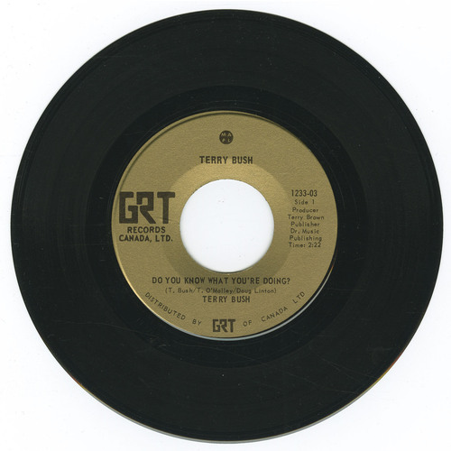 Do You Know What You're Doing? b/w Fare Thee Well