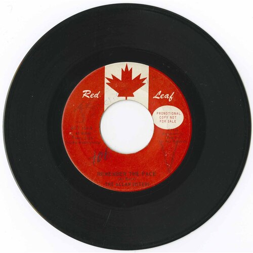 Remember The Face b/w In My Diary