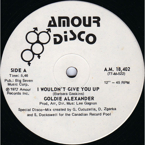 I Wouldn't Give You Up