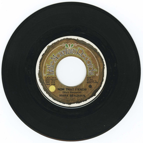 Now That I Know b/w Sweet Genevieve