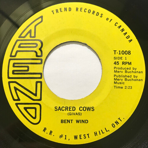 Sacred Cows b/w Castles Made of Man