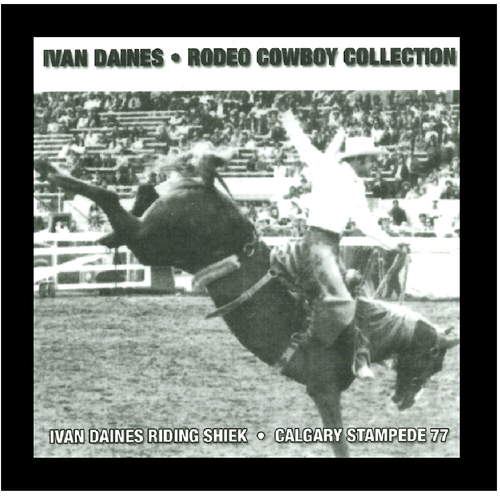 Rodeo Cowboy Collection
