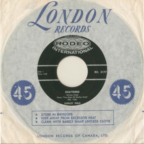 Shattered b/w Evening Shadows